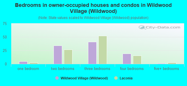 Bedrooms in owner-occupied houses and condos in Wildwood Village (Wildwood)