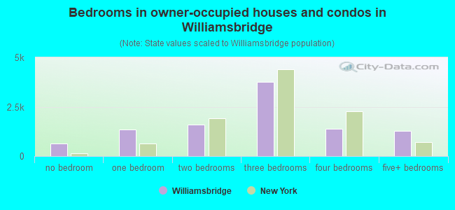 Bedrooms in owner-occupied houses and condos in Williamsbridge
