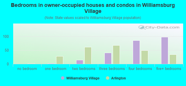 Bedrooms in owner-occupied houses and condos in Williamsburg Village