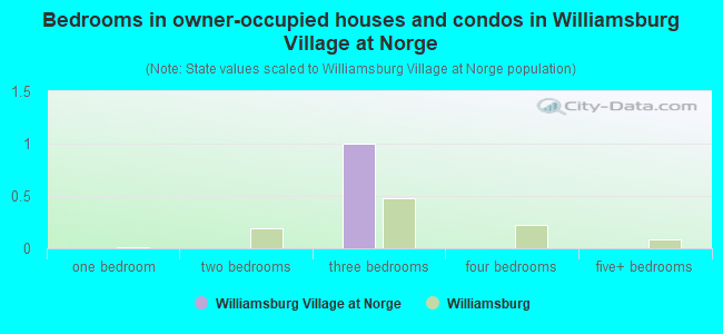 Bedrooms in owner-occupied houses and condos in Williamsburg Village at Norge