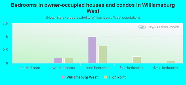 Bedrooms in owner-occupied houses and condos in Williamsburg West