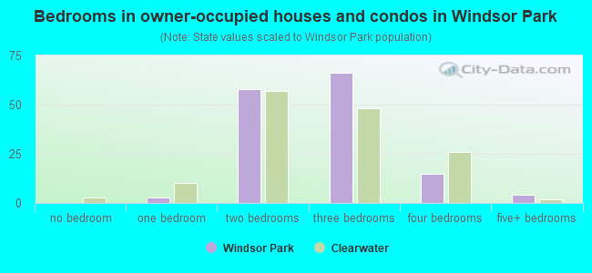 Bedrooms in owner-occupied houses and condos in Windsor Park