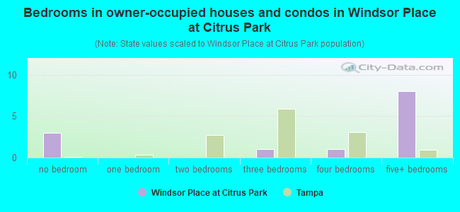 Bedrooms in owner-occupied houses and condos in Windsor Place at Citrus Park