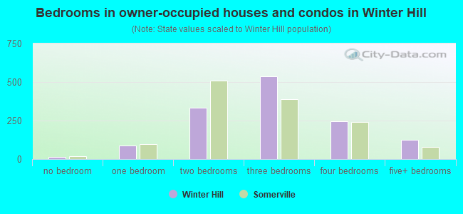 Bedrooms in owner-occupied houses and condos in Winter Hill