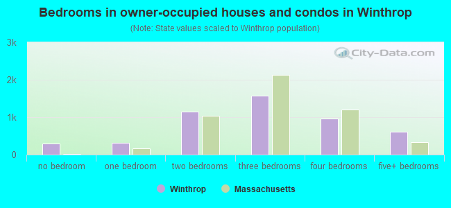 Bedrooms in owner-occupied houses and condos in Winthrop