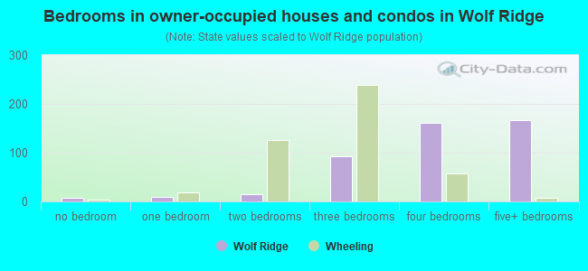 Bedrooms in owner-occupied houses and condos in Wolf Ridge