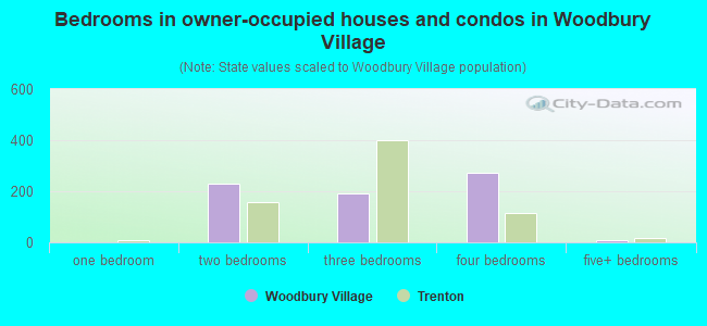 Bedrooms in owner-occupied houses and condos in Woodbury Village