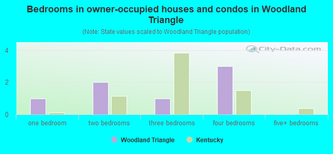Bedrooms in owner-occupied houses and condos in Woodland Triangle