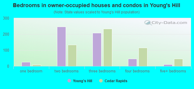 Bedrooms in owner-occupied houses and condos in Young's Hill
