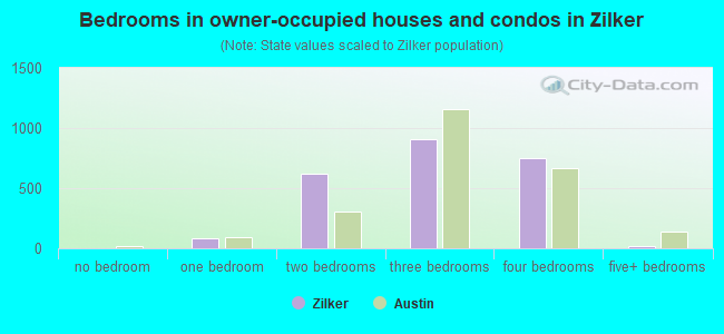 Bedrooms in owner-occupied houses and condos in Zilker