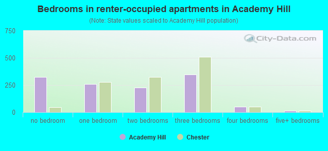 Bedrooms in renter-occupied apartments in Academy Hill