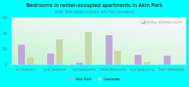 Bedrooms in renter-occupied apartments in Akin Park
