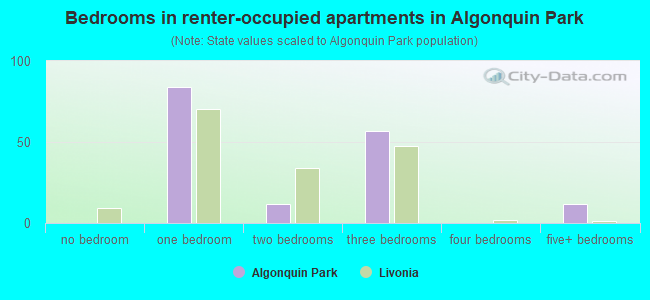 Bedrooms in renter-occupied apartments in Algonquin Park