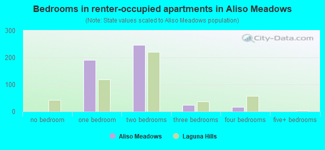 Bedrooms in renter-occupied apartments in Aliso Meadows