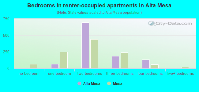 Bedrooms in renter-occupied apartments in Alta Mesa