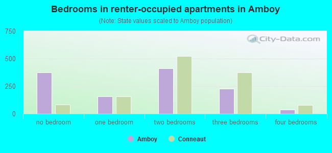 Bedrooms in renter-occupied apartments in Amboy