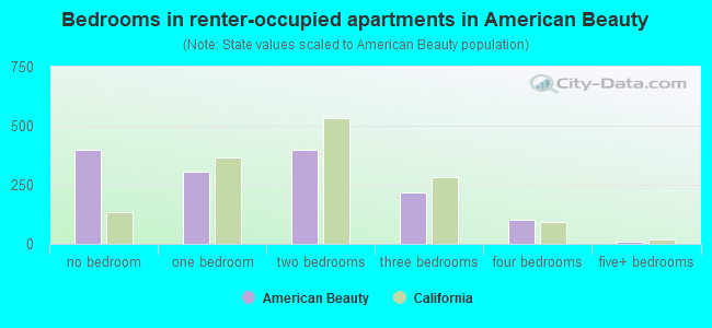 Bedrooms in renter-occupied apartments in American Beauty