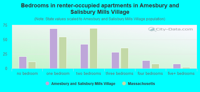 Bedrooms in renter-occupied apartments in Amesbury and Salisbury Mills Village