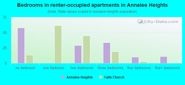 Bedrooms in renter-occupied apartments in Annalee Heights