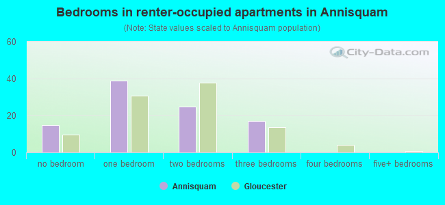 Bedrooms in renter-occupied apartments in Annisquam