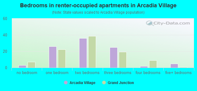 Bedrooms in renter-occupied apartments in Arcadia Village
