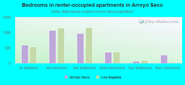 Bedrooms in renter-occupied apartments in Arroyo Seco