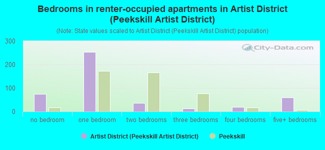 Bedrooms in renter-occupied apartments in Artist District (Peekskill Artist District)