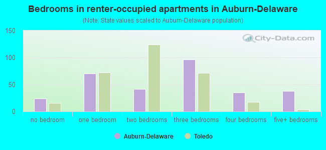 Bedrooms in renter-occupied apartments in Auburn-Delaware
