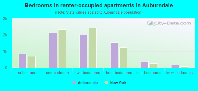 Bedrooms in renter-occupied apartments in Auburndale