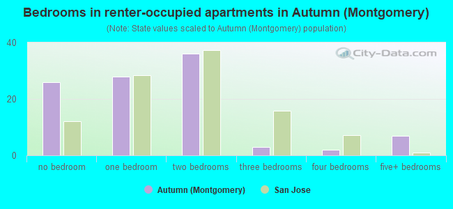 Bedrooms in renter-occupied apartments in Autumn (Montgomery)