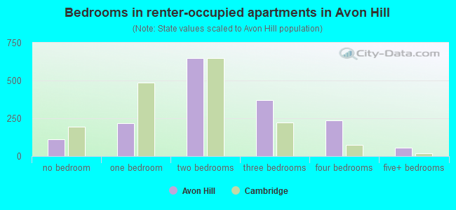 Bedrooms in renter-occupied apartments in Avon Hill