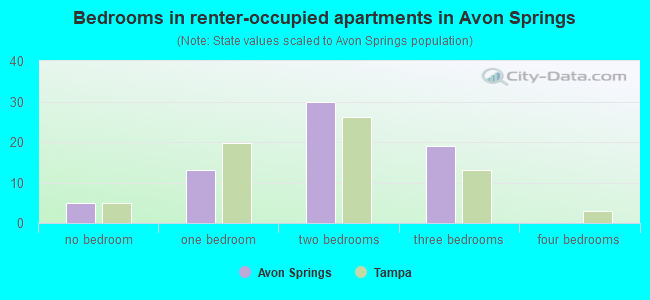 Bedrooms in renter-occupied apartments in Avon Springs