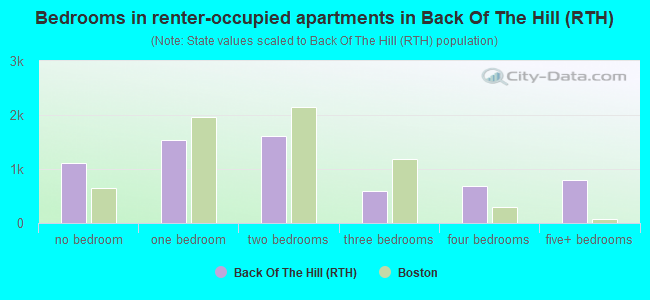 Bedrooms in renter-occupied apartments in Back Of The Hill (RTH)
