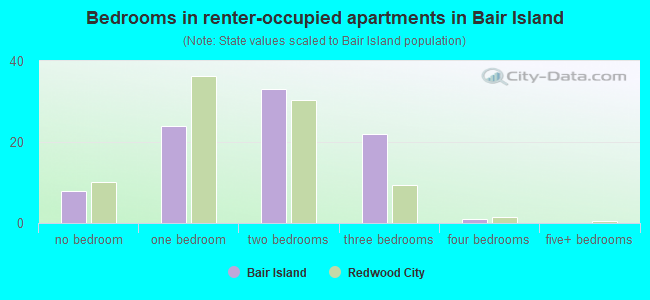 Bedrooms in renter-occupied apartments in Bair Island