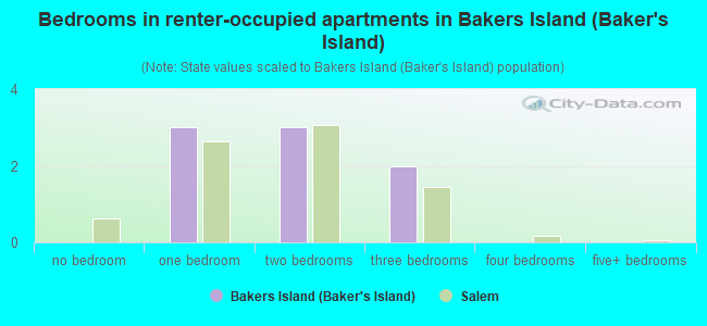 Bedrooms in renter-occupied apartments in Bakers Island (Baker's Island)