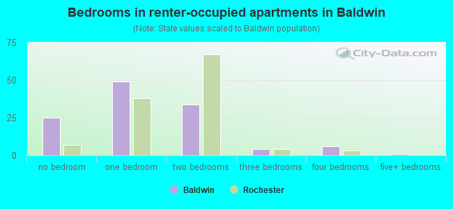 Bedrooms in renter-occupied apartments in Baldwin
