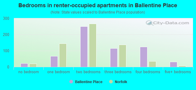 Bedrooms in renter-occupied apartments in Ballentine Place