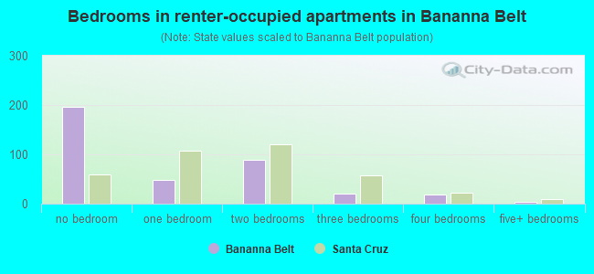 Bedrooms in renter-occupied apartments in Bananna Belt