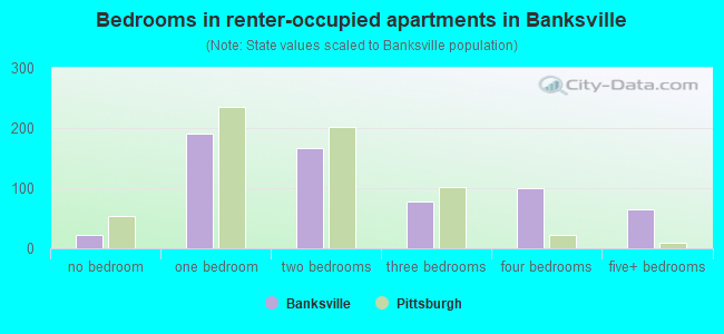 Bedrooms in renter-occupied apartments in Banksville