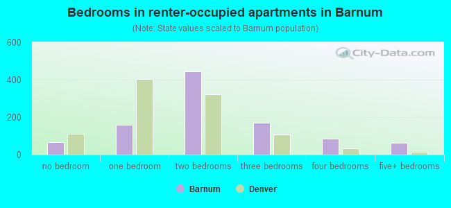 Bedrooms in renter-occupied apartments in Barnum