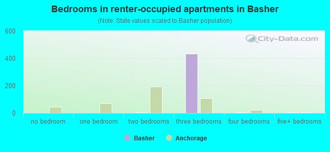 Bedrooms in renter-occupied apartments in Basher