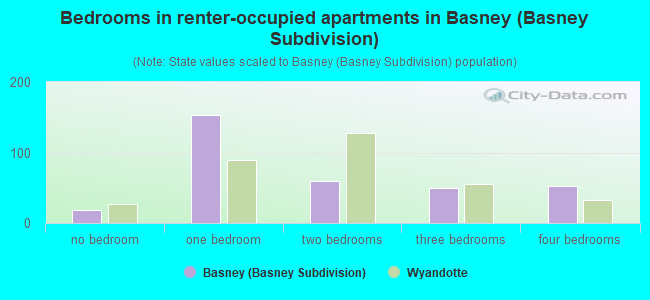 Bedrooms in renter-occupied apartments in Basney (Basney Subdivision)
