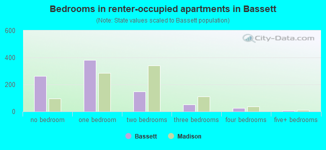 Bedrooms in renter-occupied apartments in Bassett