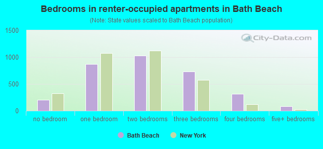 Bedrooms in renter-occupied apartments in Bath Beach