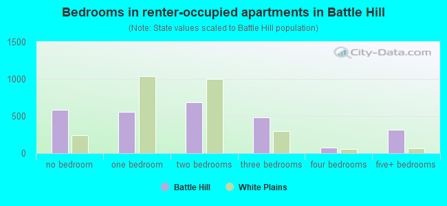 Bedrooms in renter-occupied apartments in Battle Hill