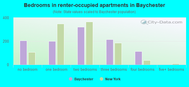 Bedrooms in renter-occupied apartments in Baychester