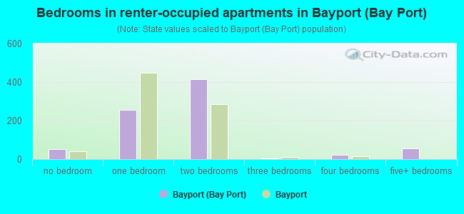 Bedrooms in renter-occupied apartments in Bayport (Bay Port)