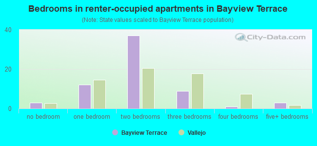 Bedrooms in renter-occupied apartments in Bayview Terrace