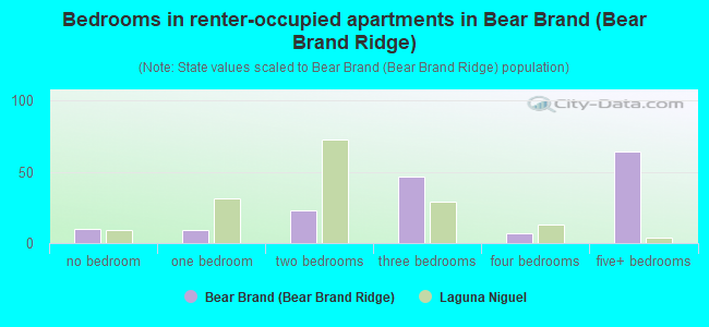 Bedrooms in renter-occupied apartments in Bear Brand (Bear Brand Ridge)