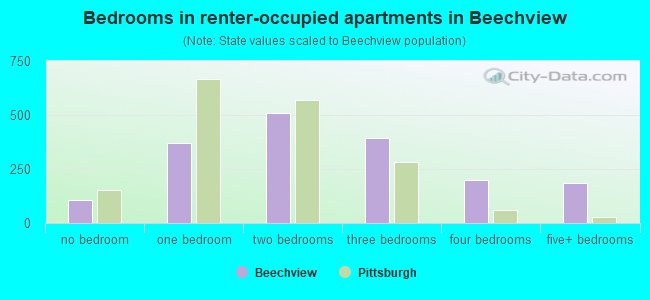 Bedrooms in renter-occupied apartments in Beechview